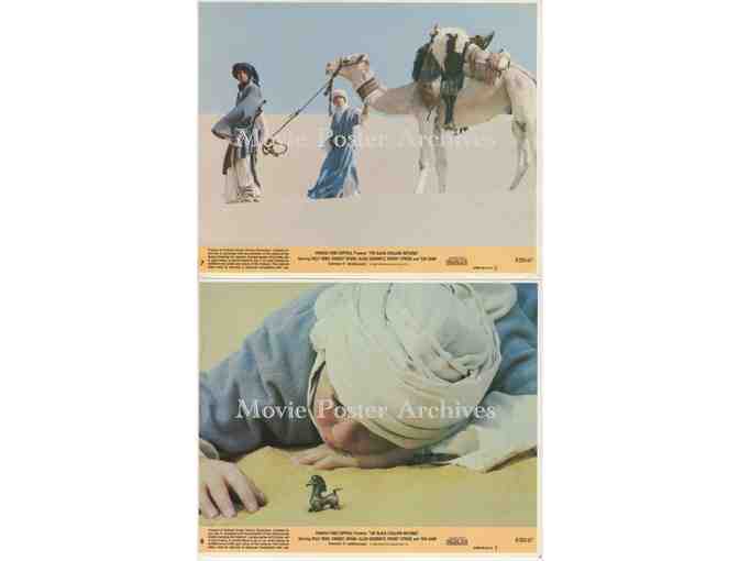BLACK STALLION RETURNS, 1983, mini lobby cards, Kelly Reno, Teri Garr, Hoyt Axton