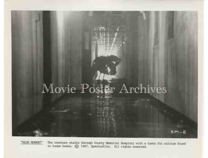 BLUE MONKEY, 1987, movie stills, Steve Railsback, Robin Duke, Susan Anspach.