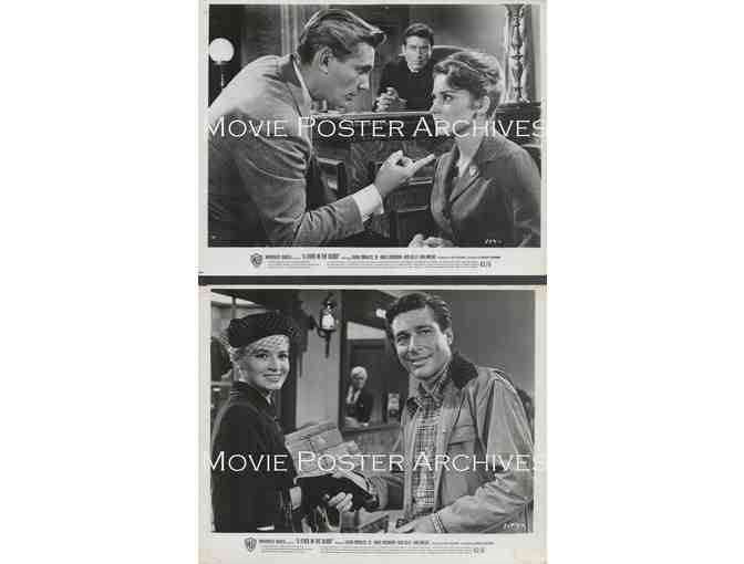 FEVER IN THE BLOOD, 1961, movie stills, Efrem Zimbalist Jr., Angie Dickinson