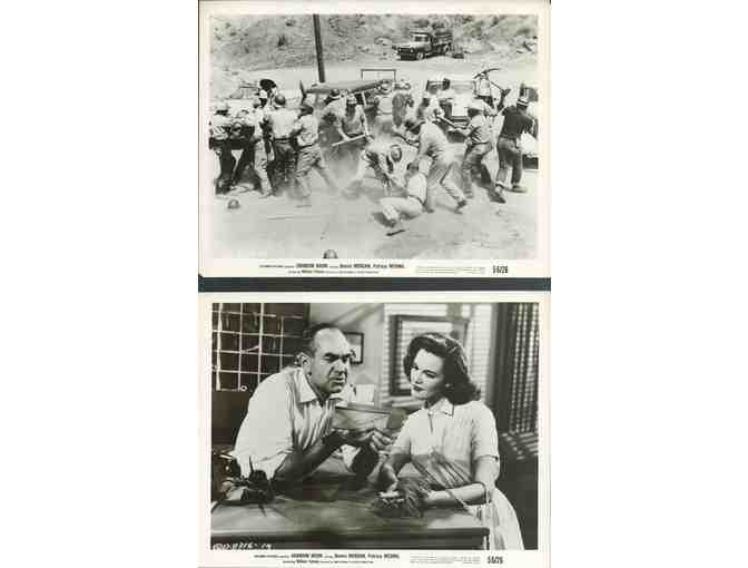 URANIUM BOOM, 1956, movie stills, Dennis Morgan, Patricia Medina
