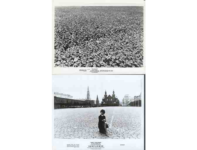 SUNFLOWER, 1970, movie stills, Sophia Loren, Marcello Mastroianni