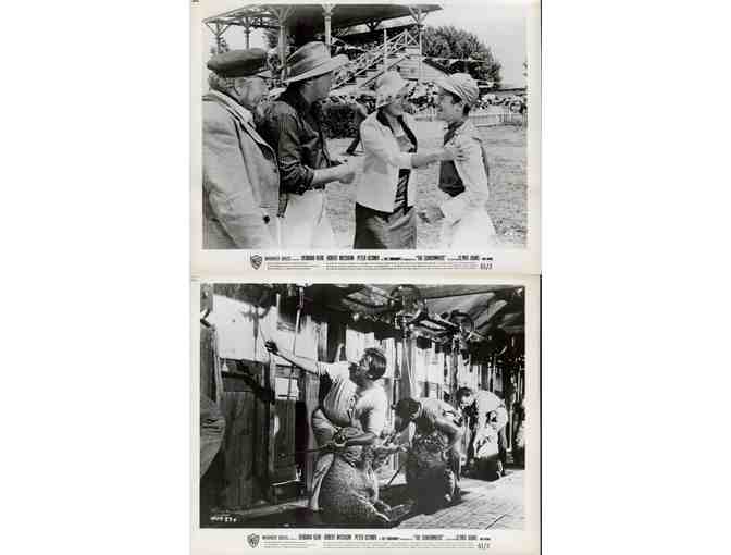 SUNDOWNERS, 1961, collectors lot, Deborah Kerr, Robert Mitchum