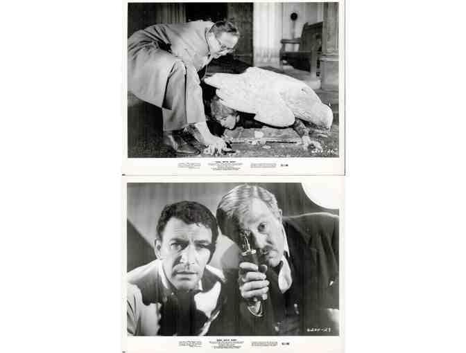 BURN WITCH BURN, 1962, collectors lot, Janet Blair