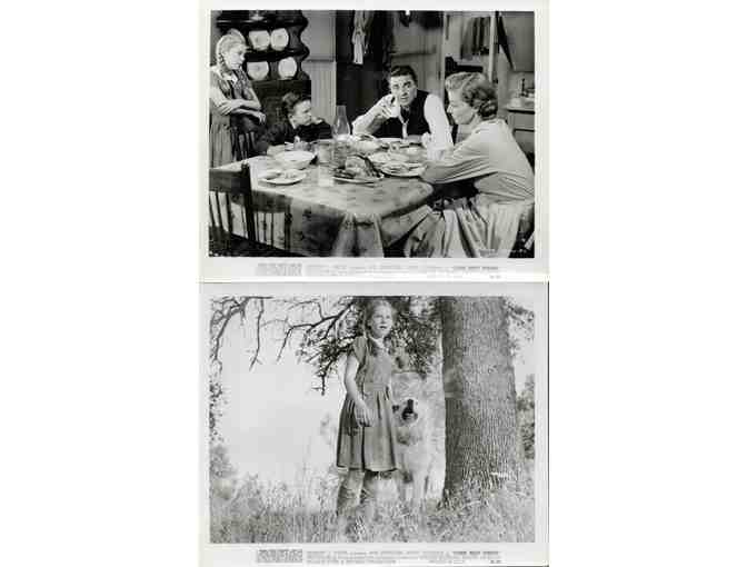 COME NEXT SPRING, 1956, collectors lot, Ann Sheridan, Walter Brennan