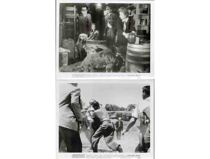 COME NEXT SPRING, 1956, collectors lot, Ann Sheridan, Walter Brennan