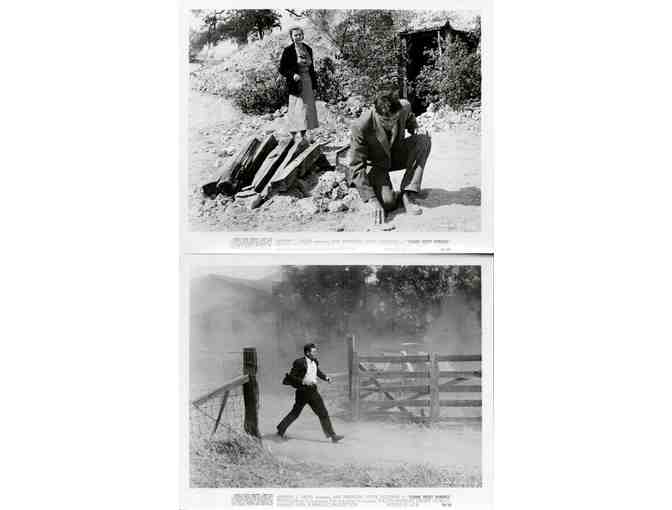 COME NEXT SPRING, 1956, collectors lot, Ann Sheridan, Walter Brennan