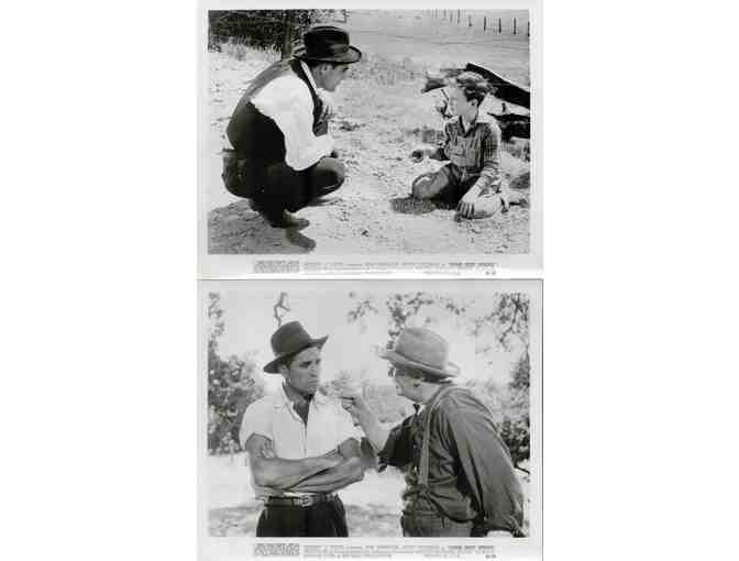 COME NEXT SPRING, 1956, collectors lot, Ann Sheridan, Walter Brennan