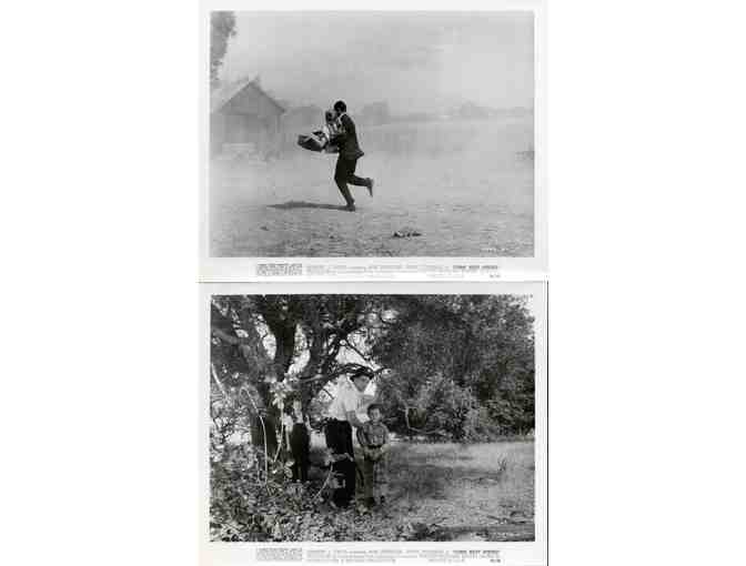 COME NEXT SPRING, 1956, collectors lot, Ann Sheridan, Walter Brennan