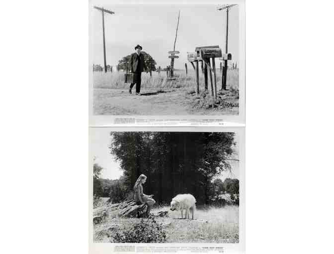 COME NEXT SPRING, 1956, collectors lot, Ann Sheridan, Walter Brennan