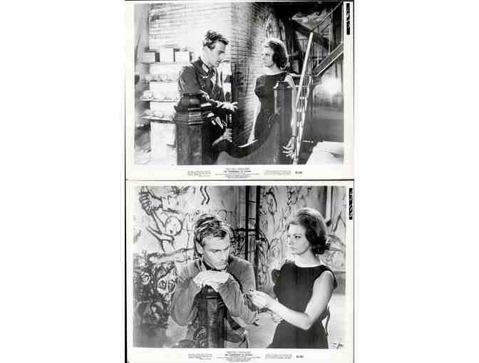 CONDEMNED OF ALTONA, 1963, collectors lot, Sophia Loren, Robert Wagner.