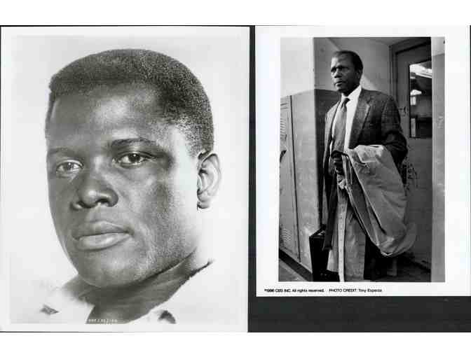 SIDNEY POITIER, group of classic celebrity portraits, stills or photos