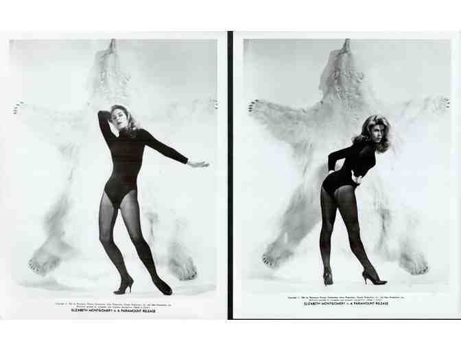 ELIZABETH MONTGOMERY, group of classic celebrity portraits, stills or photos