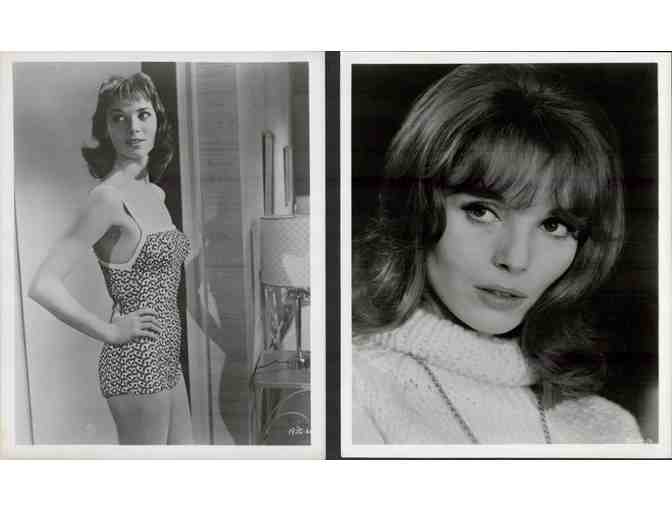 ELAS MARTINELLI, group of classic celebrity portraits, stills or photos