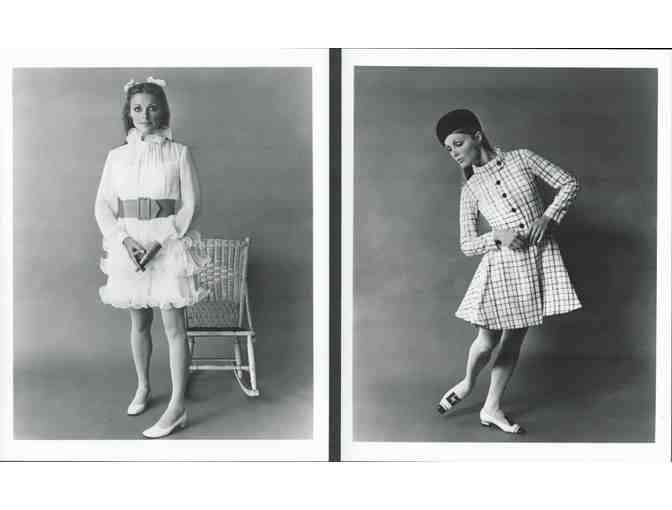 SHARON TATE, group of classic celebrity portraits, stills or photos