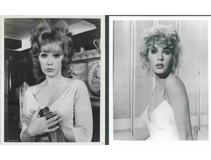 STELLA STEVENS, group of classic celebrity portraits, stills or photos
