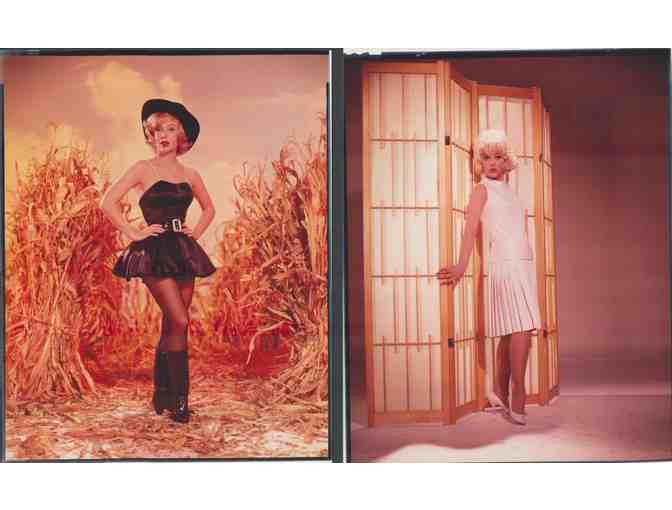 STELLA STEVENS, group of classic celebrity portraits, stills or photos