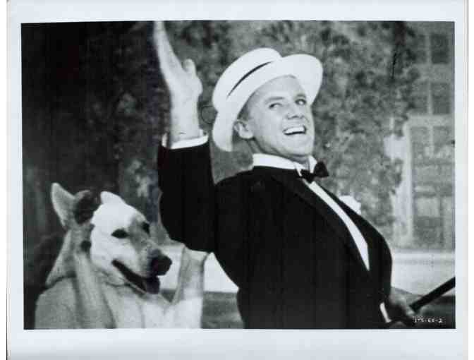 VAN JOHNSON, group of classic celebrity portraits, stills or photos