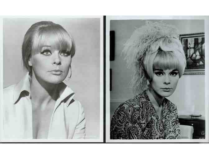 ELKE SOMMER, group of classic celebrity portraits, stills or photos