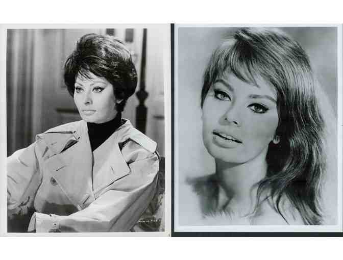 SOPHIA LOREN, collectors lot, group of classic celebrity portraits, stills or photos