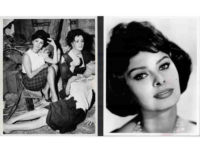 SOPHIA LOREN, collectors lot, group of classic celebrity portraits, stills or photos
