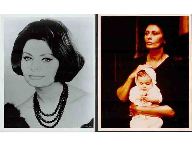 SOPHIA LOREN, collectors lot, group of classic celebrity portraits, stills or photos