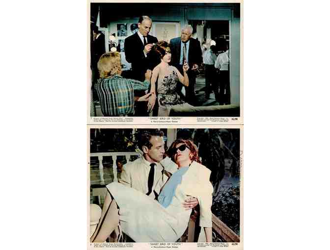 SWEET BIRD OF YOUTH, 1962, mini lobby cards, Paul Newman, Geraldine Page