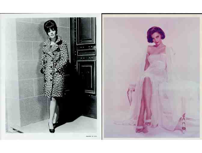 NATALIE WOOD, collectors lot, group of classic celebrity portraits, stills or photos