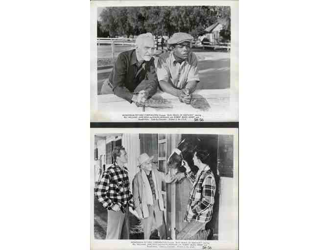 BLUE GRASS OF KENTUCKY, 1950, movie stills, Bill Williams, Jane Nigh