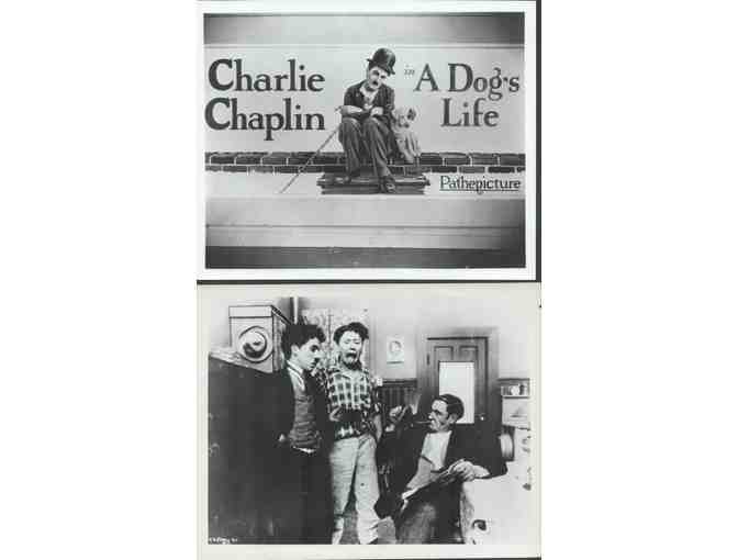 CHARLIE CHAPLIN, collectors lot, group of classic celebrity portraits, stills or photos