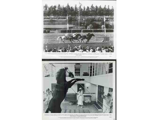 BLACK STALLION, 1979, movie stills, Kelly Reno, Teri Garr, Hoyt Axton