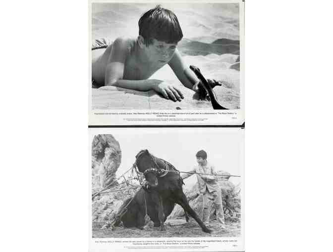 BLACK STALLION, 1979, movie stills, Kelly Reno, Teri Garr, Hoyt Axton