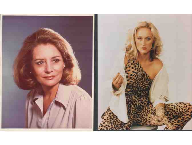 ACTRESSES LOT 1, Raquel Welch, Jane Wyman, Meryl Streep, et al