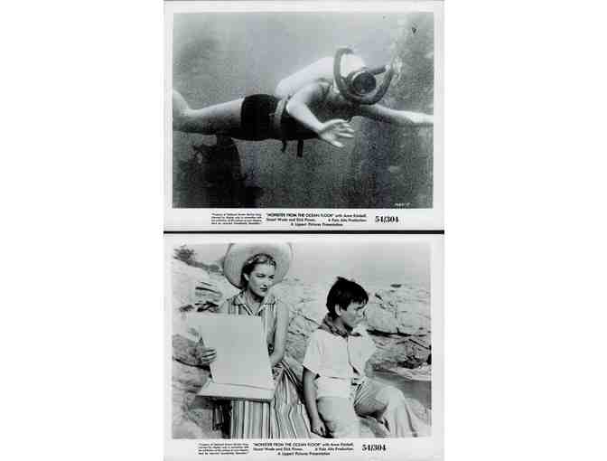 MONSTER FROM THE OCEAN FLOOR, 1954, movie stills, collectors lot
