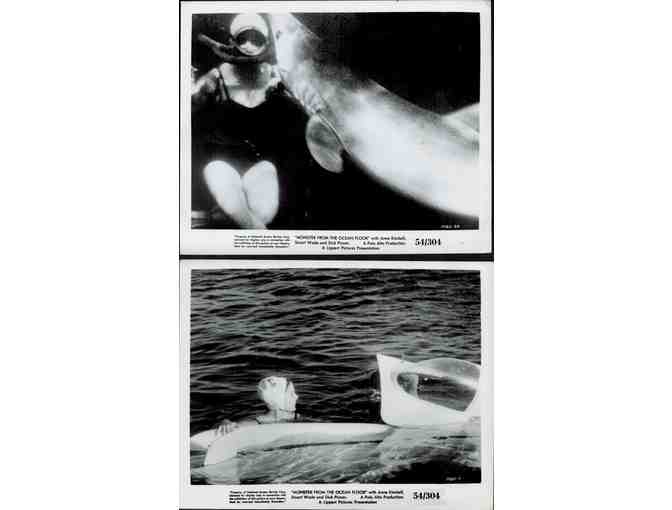 MONSTER FROM THE OCEAN FLOOR, 1954, movie stills, collectors lot