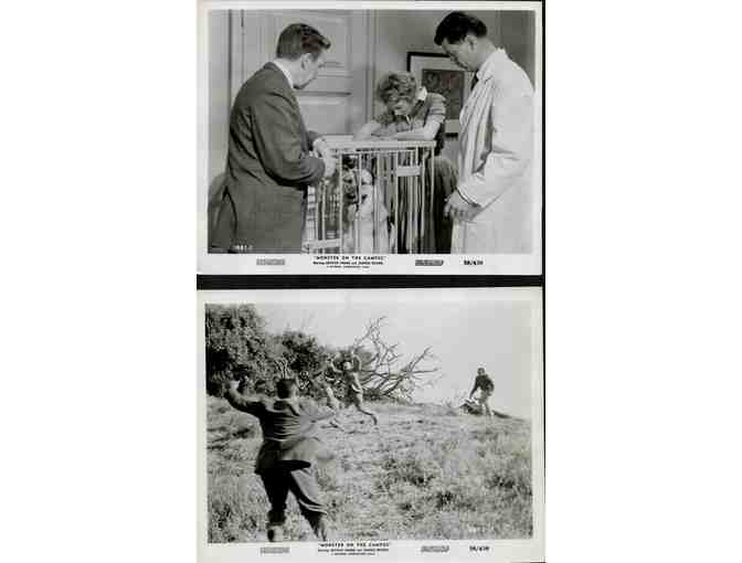 MONSTER ON THE CAMPUS, 1958, movie stills, Arthur Franz, Troy Donahue