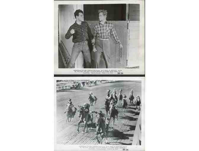 BLUE GRASS OF KENTUCKY, 1950, movie stills, Bill Williams, Jane Nigh
