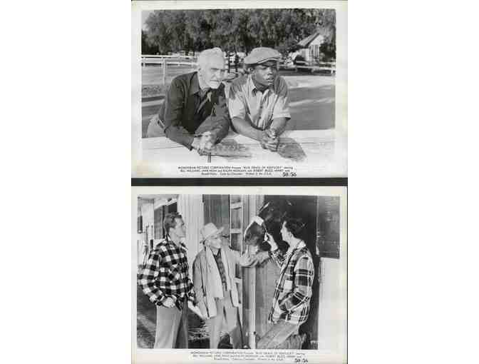 BLUE GRASS OF KENTUCKY, 1950, movie stills, Bill Williams, Jane Nigh