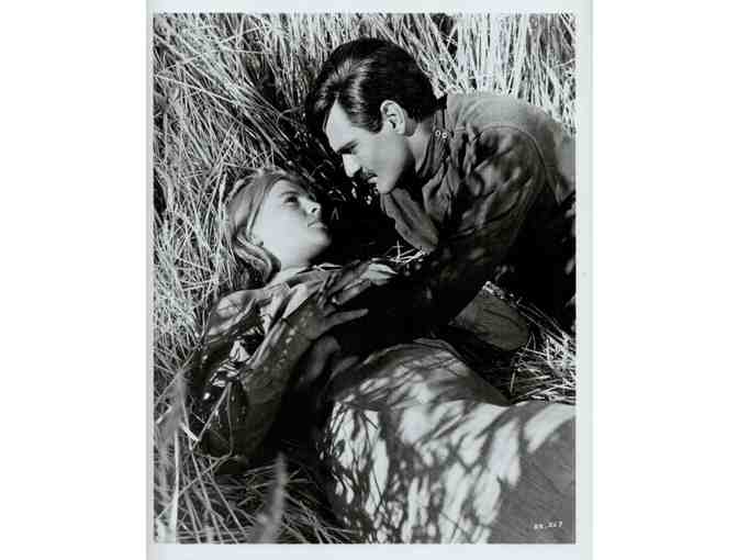 DOCTOR ZHIVAGO, 1965, movie stills, collectors lot, Omar Sharif, Julie Christie