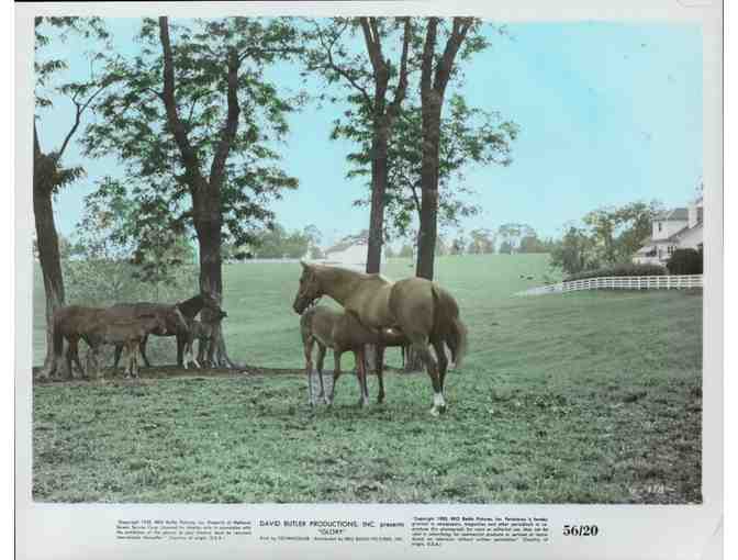 GLORY, 1956, movie stills, Walter Brennan, Margaret Obrien