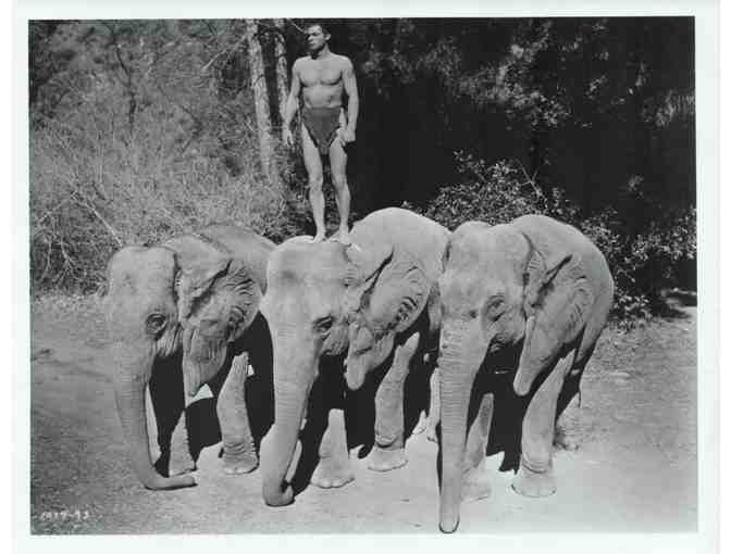 JOHNNY WEISSMULLER, group of classic celebrity portraits, stills or photos