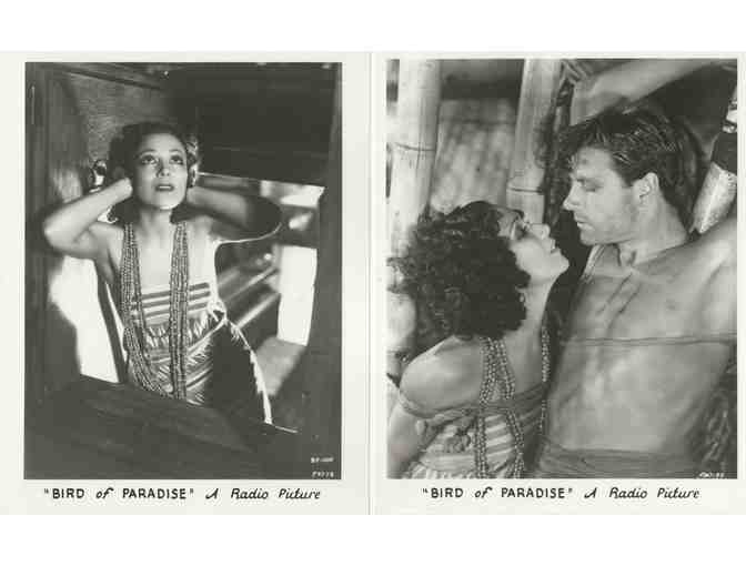 BIRD OF PARADISE, 1932, 8x10 Stills, Dolores Del Rio, Joel McCrea, John Halliday, Lon Chaney Jr.