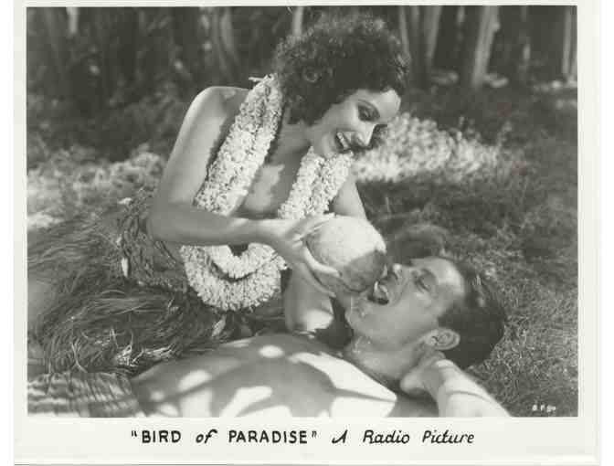 BIRD OF PARADISE, 1932, 8x10 Stills, Dolores Del Rio, Joel McCrea, John Halliday, Lon Chaney Jr.