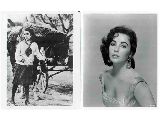 ELIZABETH TAYLOR, collectors lot, group of classic celebrity portraits, stills or photos