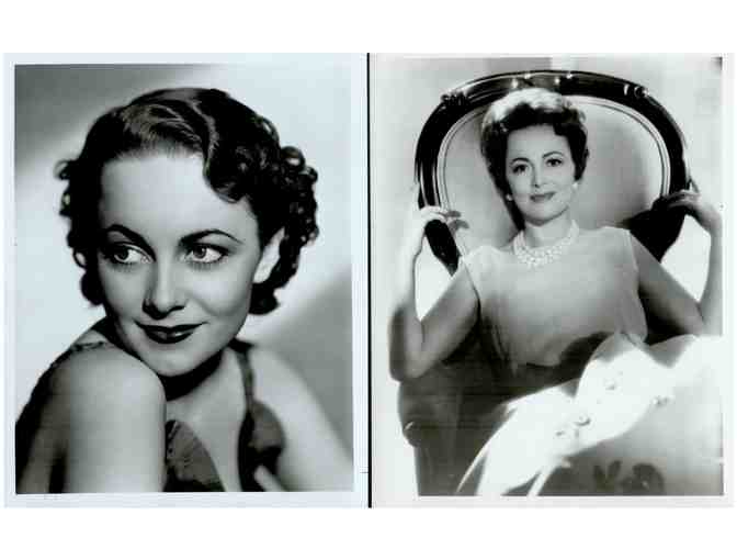 OLIVIA DE HAVILLAND, group of classic celebrity portraits, stills or photos