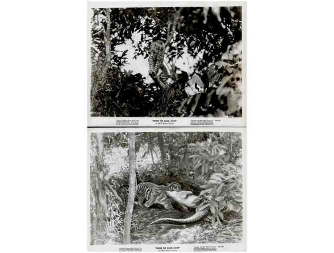 BRING EM BACK ALIVE, 1932, movie stills, Frank Buck Malayan nature documentary