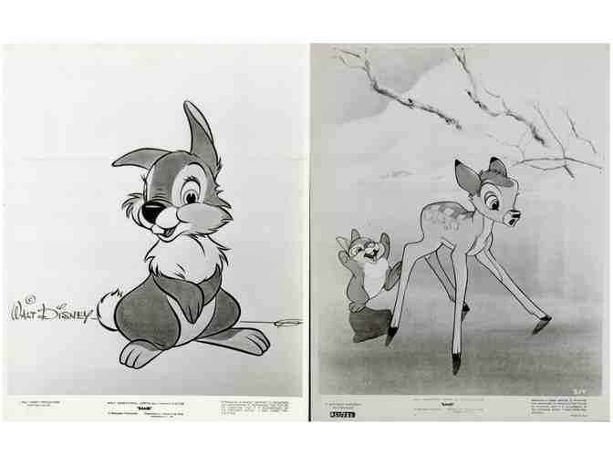 BAMBI, 1942, movie stills, collectors lot, Walt Disney animated feature