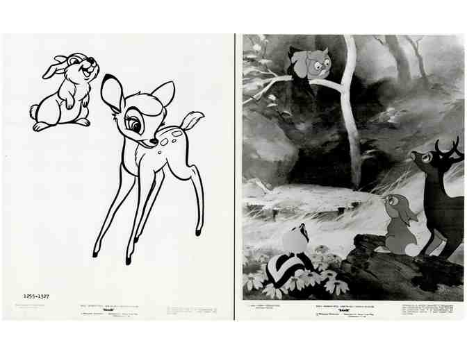 BAMBI, 1942, movie stills, collectors lot, Walt Disney animated feature