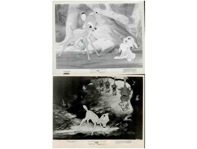 BAMBI, 1942, movie stills, collectors lot, Walt Disney animated feature