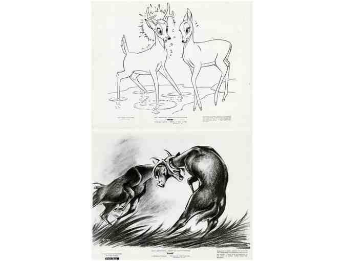 BAMBI, 1942, movie stills, collectors lot, Walt Disney animated feature