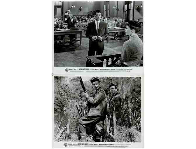 FEVER IN THE BLOOD, 1961, movie stills, Efrem Zimbalist Jr., Angie Dickinson